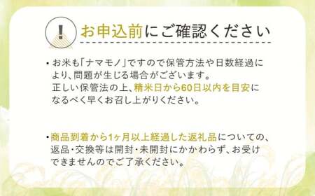 新米 令和6年産 はえぬき 玄米 30kg  2024年産 山形県産 尾花沢市産 米 お米 ja-hagxb30 ※沖縄・離島への配送不可