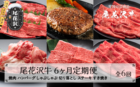 【定期便 全6回】山形県産 黒毛和牛 焼肉 ハンバーグ しゃぶしゃぶ ステーキ すき焼き 切り落とし nj-tkogx6