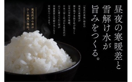 新米 令和6年産 つや姫 精米 10kg  11月下旬～3月下旬発送 2024年産 山形県産 尾花沢市産 米 お米  ja-tssxb10 ※沖縄・離島への配送不可