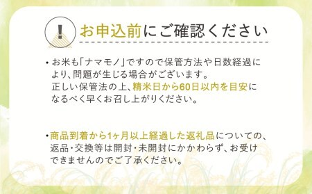 新米 令和6年産 つや姫 精米 10kg  11月下旬～3月下旬発送 2024年産 山形県産 尾花沢市産 米 お米  ja-tssxb10 ※沖縄・離島への配送不可