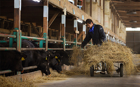 【簡易包装】尾花沢牛100%ハンバーグ 110g×4個入り 計440g  nj-oghmk440　