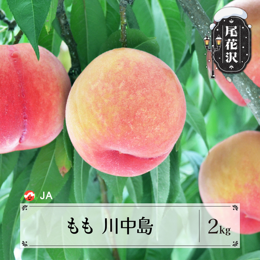 先行予約 もも 川中島 約2kg(約6~8玉) ◯秀以上 2026年産 令和8年産 8月中旬～9月上旬頃発送 桃 白桃 モモ 果物 フルーツ 山形県産 送料無料 ※沖縄・離島への配送不可 ja-moknx2-b