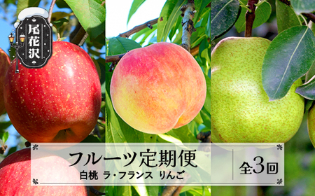 【先行予約】 フルーツ定期便 全3回 白桃 ラ・フランス りんご 令和8年産 sb-fthlr3-b