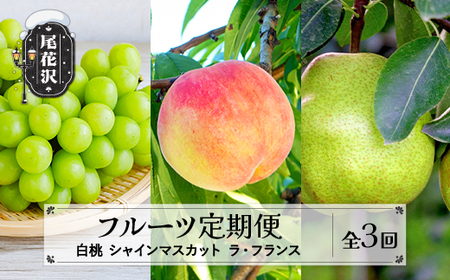 【先行予約】 フルーツ定期便 全3回 白桃 シャインマスカット ラ・フランス 令和8年産 sb-fthsl3-b