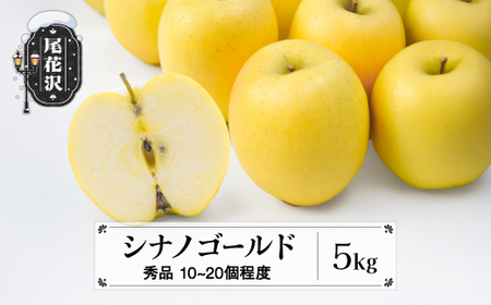 先行予約 りんご シナノゴールド 秀品 5kg (10~20個程度)  令和8年産  sb-risgx5-b