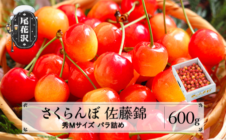 先行予約 さくらんぼ 佐藤錦 秀Mサイズ バラ詰め 600g 1箱 2026年産 令和8年産 山形県産 バラ詰めさくらんぼ 山形県産さくらんぼ  (サクランボ さとうにしき フルーツ 果物 ns-snsmb600)