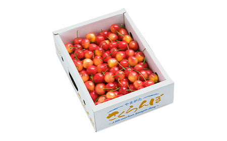 先行予約 さくらんぼ 佐藤錦 秀Mサイズ バラ詰め 600g 1箱 2026年産 令和8年産 山形県産 バラ詰めさくらんぼ 山形県産さくらんぼ  (サクランボ さとうにしき フルーツ 果物 ns-snsmb600)