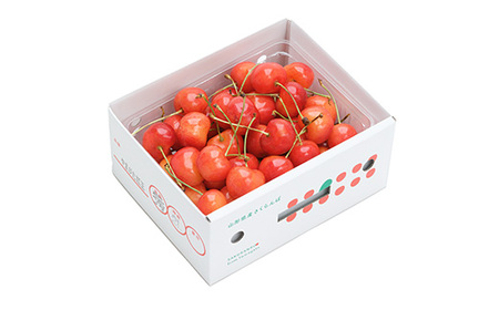 先行予約 やまがた紅王 さくらんぼ べにおう 秀2Lサイズ バラ詰め 500g 2026年産 令和8年産 プレゼント ギフト フルーツ 果物 山形県産 ns-ybs2b500