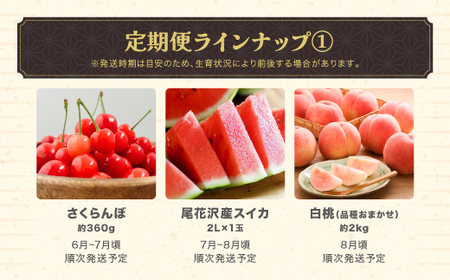 【ふるなびWEEK対象】先行予約 フルーツ定期便 全7回 さくらんぼ スイカ もも 梨 シャインマスカット ラ・フランス りんご  令和8年産 sb-ft7xx-b-navi FN-Limited-WE