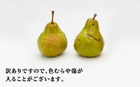 訳あり ラ・フランス 洋梨 約5kg 令和7年産 2025年産 フルーツ 果物 山形県 ns-laxxw5-a