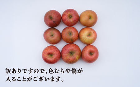 訳あり りんご サンふじ 約5kg 令和7年産 2025年産 12月上旬~1月中旬頃発送 山形県産 フルーツ 果物 ns-risfw5-a