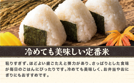 令和7年産 無洗米 はえぬき 10kg kg-hamxa10