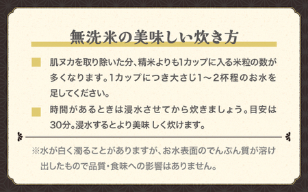 令和7年産 つや姫 無洗米 10kg ja-tsmxa10