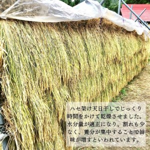 尾花沢産 ハセ架け もち米 ヒメノモチ 餅米 kb-mkhmx1000