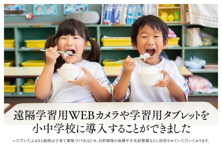 厳選～尾花沢市自慢の3品定期便 シルバーコース (米・尾花沢牛・すいか