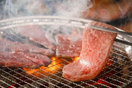 尾花沢 牛肉 まつり プチ贅沢 焼肉 セット (目利きが厳選！雪降り和牛尾花沢ロース・カルビ・モモ・カタ500ｇ)  すいか ダレ付【295AH】