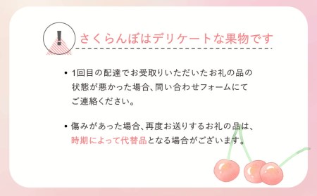 先行予約 さくらんぼ 紅秀峰 秀2Lサイズ 700g (350gx2パック