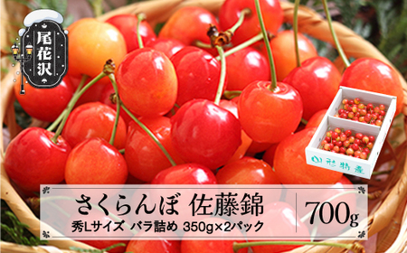 さくらんぼ 佐藤錦 秀Lサイズ プレゼント ギフト バラ詰め 700g(350g×2パック)  サクランボ 先行予約 2025年産 令和7年産 山形県産 さくらんぼ ns-snslb700