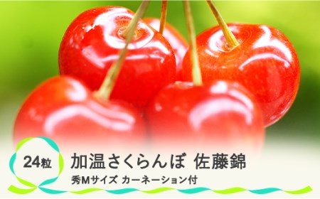 母の日 加温 さくらんぼ 佐藤錦 秀Mサイズ カーネーション付 プレゼント ギフト 化粧箱入 24粒 2023年産 5月8日~5月14日の間にお届け 山形県産 ns-snhmx24-ha1