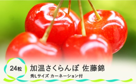 母の日 加温 さくらんぼ 佐藤錦 秀Lサイズ カーネーション付 プレゼント ギフト 化粧箱入 24粒 2023年産 5月8日~5月14日の間にお届け 山形県産 ns-snhlx24-ha1