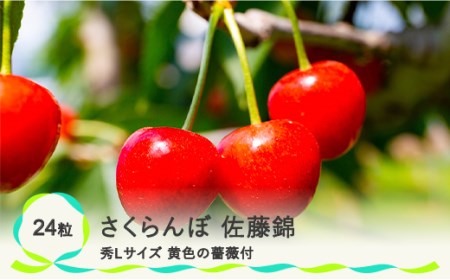 父の日 さくらんぼ 佐藤錦 秀Lサイズ 黄色の薔薇付 プレゼント ギフト 化粧箱入 24粒 2023年産 山形県産 ns-sncsl24