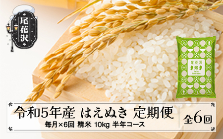 新米 米 はえぬき 毎月定期便 半年コース 10kg 5kg×2 精米 令和4年産 2022年産 山形県尾花沢市産 kb-hastb10x6