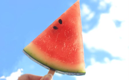 フローズンスイカ フルーツ 冷凍 果物 すいか アイス 尾花沢スイカ 送料無料 ns-ffsbx