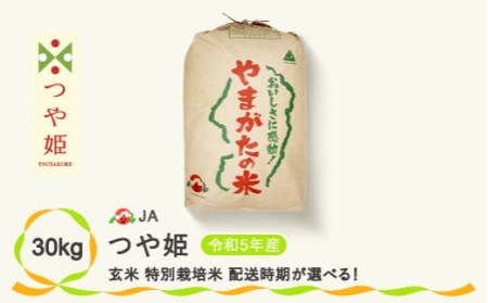 玄米 30kg 新米 特別栽培米つや姫 令和5年産 2023年産 山形県尾花沢市