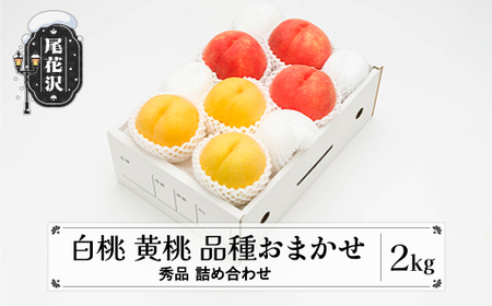 先行予約 もも 白桃 有袋黄桃 秀品 詰め合わせ 品種おまかせ 2kg フルーツ 化粧箱入 果物 アソート 詰合せ 令和8年産 2026年産 山形県産 桃 黄桃 モモ 送料無料 ※沖縄・離島への配送不可ns-mohot2