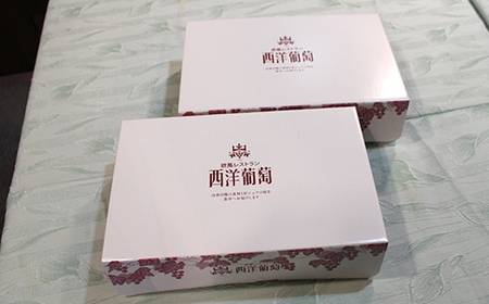 とうもろこしのスープ (250g×計10袋)『欧風レストラン 西洋葡萄』 山形県 南陽市 [2005]