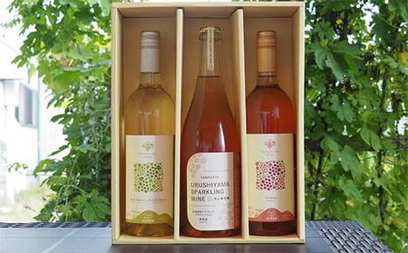 果樹園生まれの 漆山果樹園ワイン 「漆山ワイン (デラウェア) + 漆山ワイン (シャイン＆ロザリオ) + 漆山スパークリングワイン (デラウェア)」 3種 各750ml 計3本セット 『漆山果樹園』 山形県 南陽市 [2079]