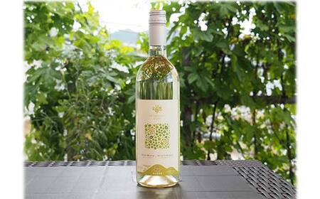 果樹園生まれの 漆山果樹園ワイン 「漆山ワイン (デラウェア) + 漆山ワイン (シャイン＆ロザリオ) + 漆山スパークリングワイン (デラウェア)」 3種 各750ml 計3本セット 『漆山果樹園』 山形県 南陽市 [2079]