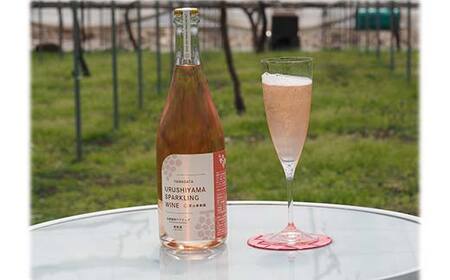 果樹園生まれの 漆山果樹園ワイン 「漆山ワイン (デラウェア) + 漆山ワイン (シャイン＆ロザリオ) + 漆山スパークリングワイン (デラウェア)」 3種 各750ml 計3本セット 『漆山果樹園』 山形県 南陽市 [2079]