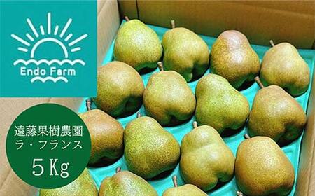 【令和8年産先行予約】 【ネオニコフリー】 〈家庭用〉 ラ・フランス 約5kg (18～20玉 秀 L～2L) 《令和8年11月上旬～発送》 『遠藤果樹農園』 厳選 こだわり ラフランス 西洋梨 洋なし 果物 フルーツ デザート 山形県 南陽市 [1989]