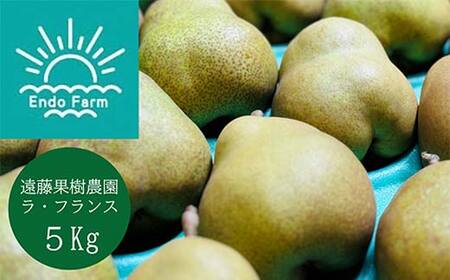 【令和8年産先行予約】 【ネオニコフリー】 〈家庭用〉 ラ・フランス 約5kg (18～20玉 秀 L～2L) 《令和8年11月上旬～発送》 『遠藤果樹農園』 厳選 こだわり ラフランス 西洋梨 洋なし 果物 フルーツ デザート 山形県 南陽市 [1989]