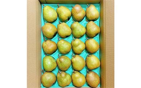 【令和8年産先行予約】 【ネオニコフリー】 〈家庭用〉 ラ・フランス 約5kg (18～20玉 秀 L～2L) 《令和8年11月上旬～発送》 『遠藤果樹農園』 厳選 こだわり ラフランス 西洋梨 洋なし 果物 フルーツ デザート 山形県 南陽市 [1989]