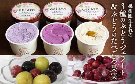 果樹園生まれの 「3種のぶどうジェラート ＆ ぶどうのたべごろ果実 (冷凍フルーツ)」セット 『漆山果樹園』 シャインマスカット ハニーブラック 藤稔 デラウェア 山形県 南陽市 [2353]