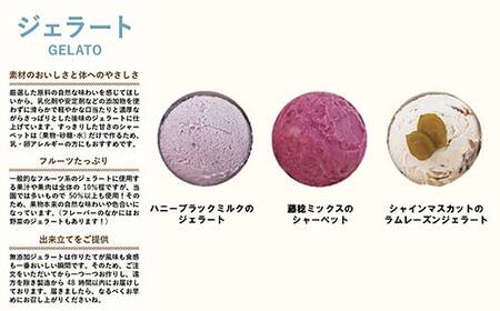 果樹園生まれの 「3種のぶどうジェラート ＆ ぶどうのたべごろ果実 (冷凍フルーツ)」セット 『漆山果樹園』 シャインマスカット ハニーブラック 藤稔 デラウェア 山形県 南陽市 [2353]