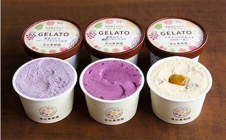 果樹園生まれの 「3種のぶどうジェラート ＆ ぶどうのたべごろ果実 (冷凍フルーツ)」セット 『漆山果樹園』 シャインマスカット ハニーブラック 藤稔 デラウェア 山形県 南陽市 [2353]