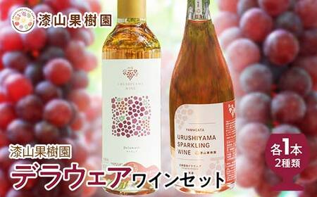 果樹園生まれの 漆山果樹園デラウェアワイン 「漆山ワイン (デラウェア) + 漆山スパークリングワイン (デラウェア)」 2種 各750ml 計2本セット 『漆山果樹園』 山形県 南陽市 [1524]