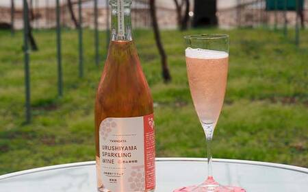 果樹園生まれの 漆山果樹園デラウェアワイン 「漆山ワイン (デラウェア) + 漆山スパークリングワイン (デラウェア)」 2種 各750ml 計2本セット 『漆山果樹園』 山形県 南陽市 [1524]