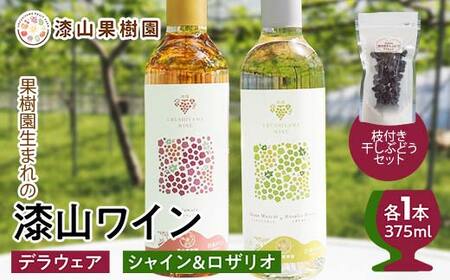 果樹園生まれの 漆山果樹園ワイン 「 漆山ワイン (デラウェア) + 漆山ワイン (シャイン＆ロザリオ) + 枝付き干しぶどう セット 」 『漆山果樹園』 山形県 南陽市 [2279]