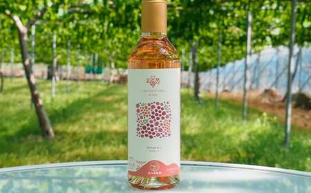 果樹園生まれの 漆山果樹園ワイン 「 漆山ワイン (デラウェア) + 漆山ワイン (シャイン＆ロザリオ) + 枝付き干しぶどう セット 」 『漆山果樹園』 山形県 南陽市 [2279]