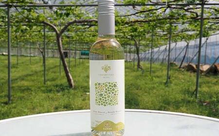 果樹園生まれの 漆山果樹園ワイン 「 漆山ワイン (デラウェア) + 漆山ワイン (シャイン＆ロザリオ) + 枝付き干しぶどう セット 」 『漆山果樹園』 山形県 南陽市 [2279]