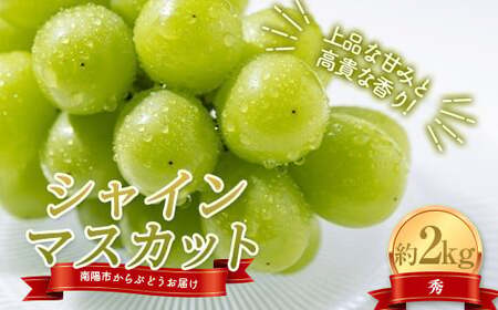 【令和8年産先行予約】 シャインマスカット 約2kg (3～4房 秀) 《令和8年10月上旬～発送》 『紺野農園』 山形県 南陽市 [1913-R8] 6,930円