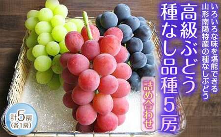 【令和8年産先行予約】 高級ぶどう 種なし品種 5房詰合せ 《令和8年9月中旬～発送》 『漆山果樹園』 葡萄 ぶどう ブドウ 種なし 新鮮 果物 フルーツ デザート 山形県 南陽市 [662-R8]