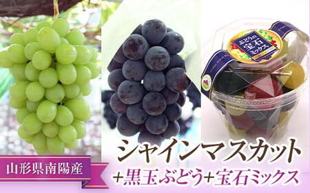 【令和8年産先行予約】 シャインマスカット ＋ 黒玉ぶどう ＋ 宝石ミックス 《令和8年9月中旬～発送》 『漆山果樹園』 山形県 南陽市 [663-R8]