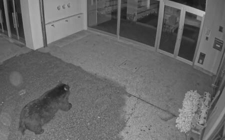 【返礼品なし】 熊被害対策支援 (山形県南陽市) [2614]