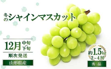 【令和8年産先行予約】 JA 冬のシャインマスカット 約1.5kg (2～4房 秀) 《令和8年12月中旬～下旬発送》 『JA山形おきたま』 マスカット ぶどう 果物 山形県 南陽市 [821-R8]