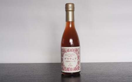 果樹園生まれの 無添加ギフトセット 『漆山果樹園』 山形県 南陽市 [664]